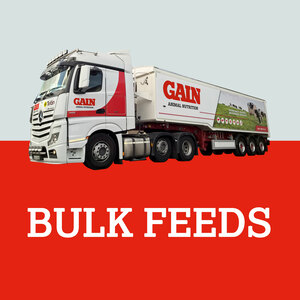GAIN Calf Rearer Nut Bulk