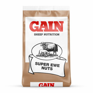 GAIN Super Ewe Nut 25kg