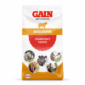 GAIN Champions Choice Accelerator Muesli 25kg