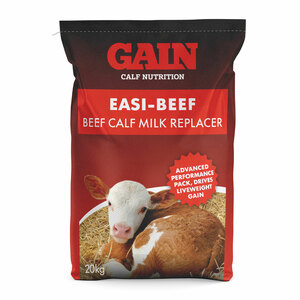 GAIN Easi-Beef Calf Milk Replacer 20kg
