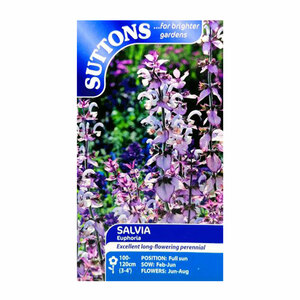 Suttons Seed Salvia Purple Fairy Tale