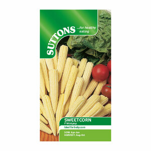 Suttons Seed Sweet Corn Minipop F1