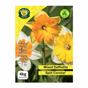 Daffodil Mixed Split Corona 4kg
