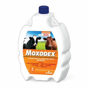 Moxodex Cattle Pour-On 5L