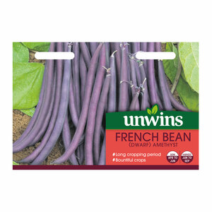 Unwins French Bean Dwarf Amethyst