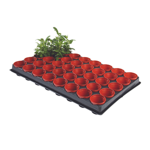 Seed & Cuttings Tray Professional Pots 40x6cm