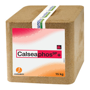 Calsea Phos Mineral Block 15kg
