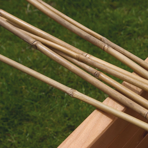 Bamboo Canes 3ft Pack of 10
