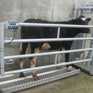 O'Neill Livestock Digital Weighing Scales