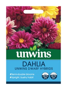 Unwins Dahlia Dwarf Hybrids Seeds
