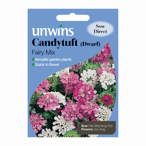 Unwins Candytuft Dwarf Fairy Seed Mix
