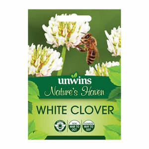 Unwins Nature's Haven White Clover