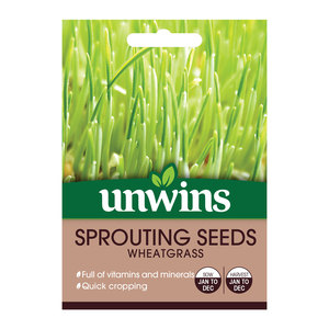 Unwins Sprouting Seeds Wheatgrass
