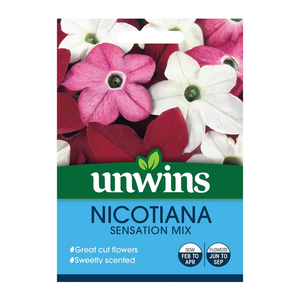 Unwins Nicotiana Sensation Mix