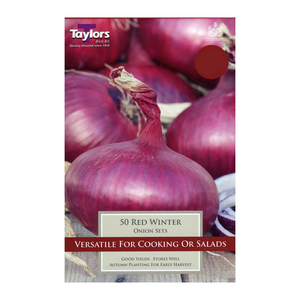 DELISTED Taylors Winter Red Onions 50 pieces