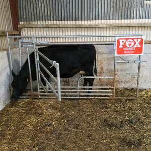 Fox Brothers Heavy Galvanised Calving Gate 14ft