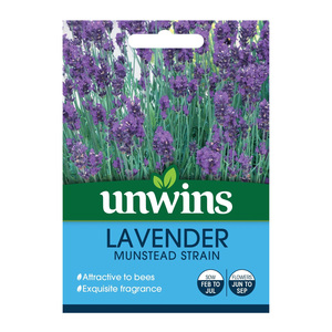Unwins Seed Lavender Munstead Strain