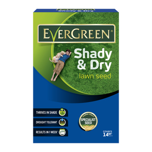 Evergreen Shady Lawn Seed
