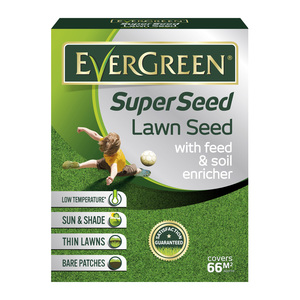 Evergreen Super Seed Lawn Seed 2kg
