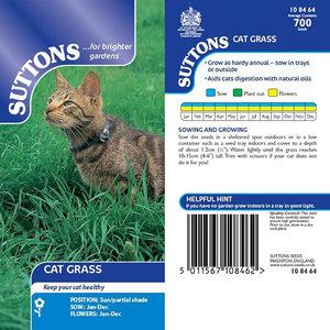 Suttons Seed Cat's Grass