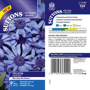 Suttons Seed Felicia Pretty Blue