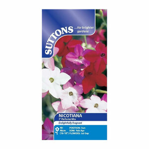 Suttons Seed Nicotiana Perfume Mix F1
