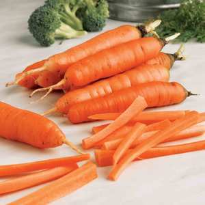 Suttons Seeds Carrot Early Nantes 5