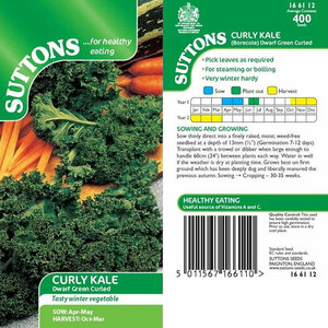 Suttons Seed Curly Kale Dwarf Green