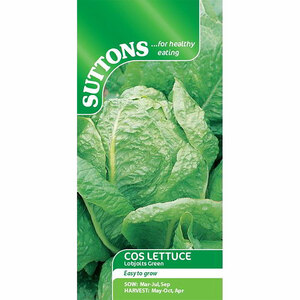Suttons Seed Lettuce Lobjoits Green Cos
