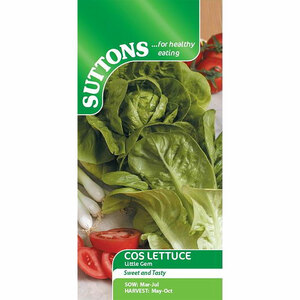 Suttons Seed Lettuce Cos Little Gem