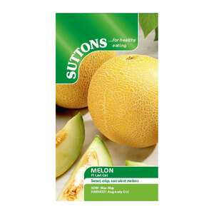 Suttons Seeds Melon (Galia) F1 Lavi Gal