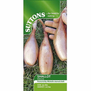 Suttons Seed Shallot Banana Seed - Zebrune