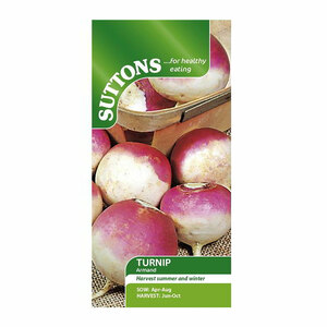 Suttons Turnip Seeds - Armand