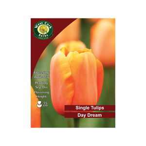 Tulip Daydream Flowers 35 Bulbs