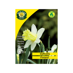 Finland Daffodils 4kg