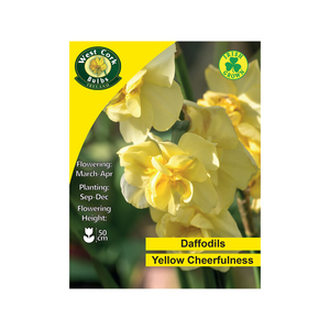 Yellow Cheerfulness Daffodil 4kg