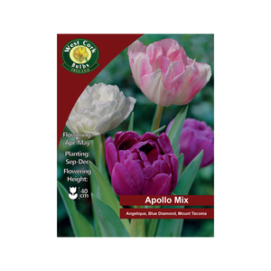 Apollo Mix Tulips 35 Bulbs