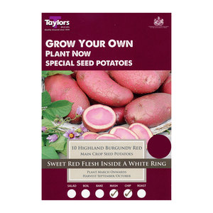 Main Crop Highland Burgundy Red Seed Potatoes 10 Pack
