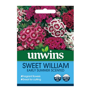 Unwin Seed Sweet William Early Summer Scented