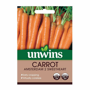 Unwins Seed Carrot Amsterdam 2 Sweetheart