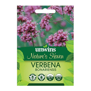 Unwins Natures Haven Verbena Bonariensis