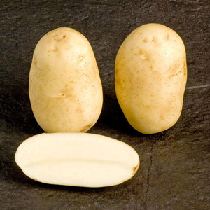 McCain Shepody Potatoes 2kg