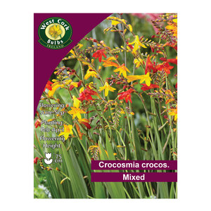 Crocosmia Crocos Mixed Species 10 Bulbs