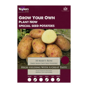 Main Crop Mary's Rose Seed Potatoes 10 Pack