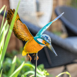 Vida Inquisitive Kingfisher Stake