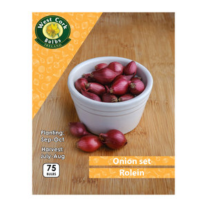Onion Sets Rolein 75 Bulbs (Red Skin)