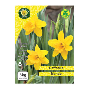 Daffodils Mando 3kg