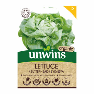 Unwins Organic Lettuce Butterhead Sylvesta