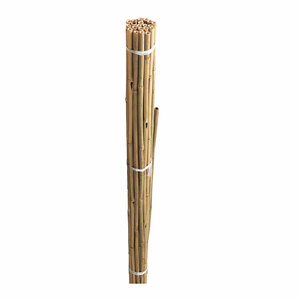 Grow It Bamboo Canes Bulk Bundle 60cm 2' 20pk