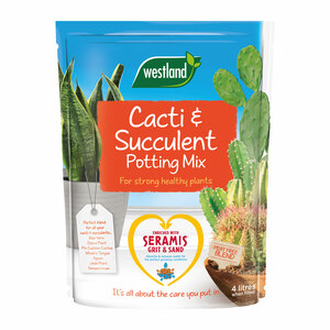 Westland Cati & Succulent Peat Free 4L